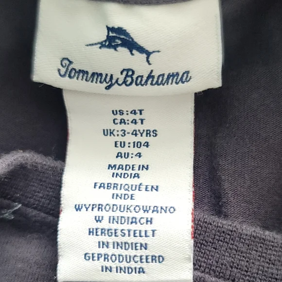 Tommy Bahama Toddler Boy Blue Gray Dino Skateboard Graphic Crew Neck T-Shirt 4t - Picture 4 of 6